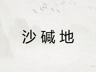 沙碱地 沙碱地