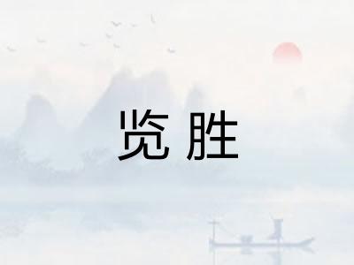 览胜