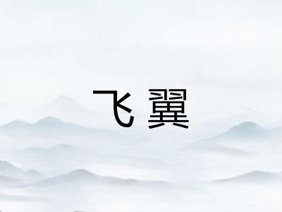 飞翼 飞翼