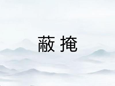 蔽掩