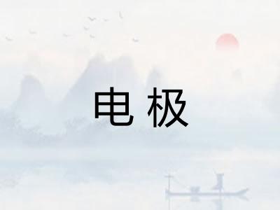 电极