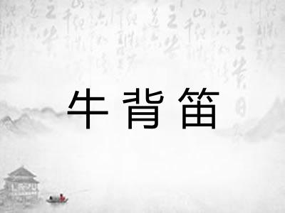 牛背笛
