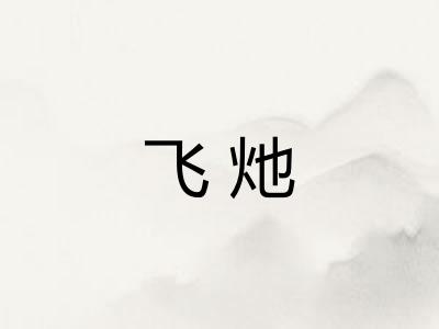 飞灺