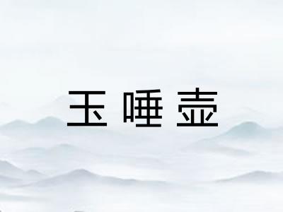 玉唾壶