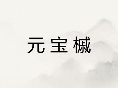 元宝槭