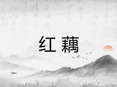 红藕
