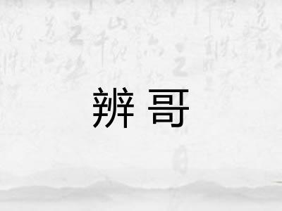 辨哥