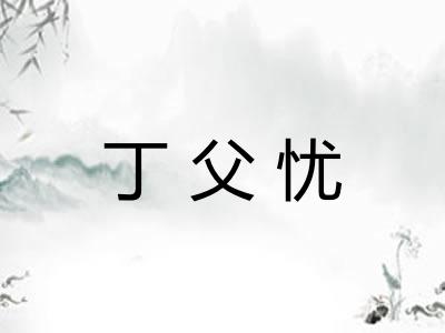 丁父忧