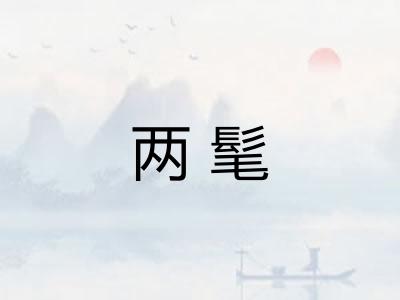 两髦