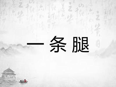 一条腿