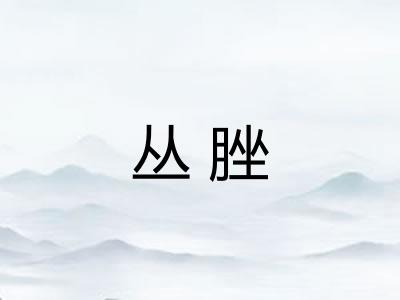 丛脞