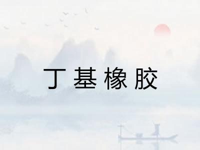 丁基橡胶 丁基橡胶