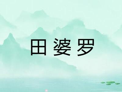田婆罗