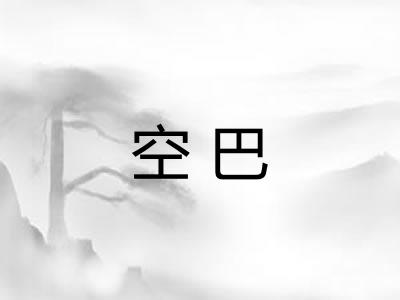空巴