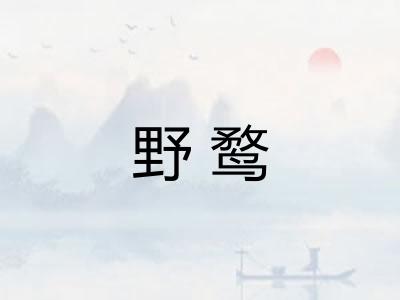 野鹜