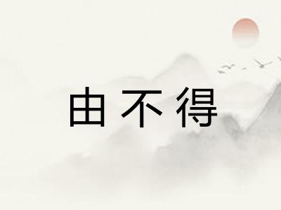 由不得