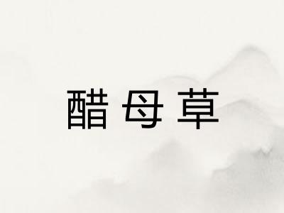醋母草