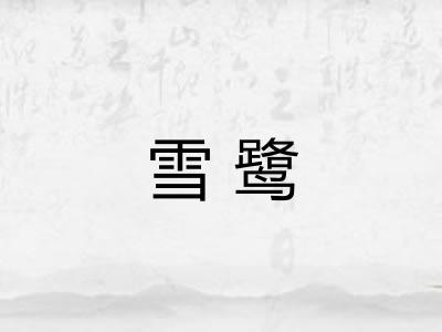 雪鹭 雪鹭