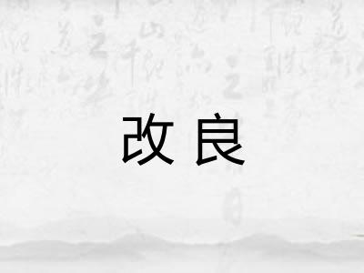 改良 改良