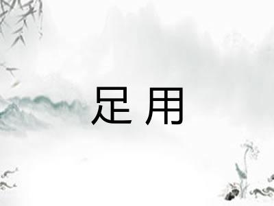 足用