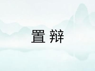 置辩