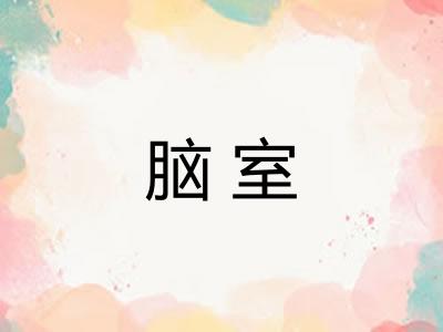 脑室