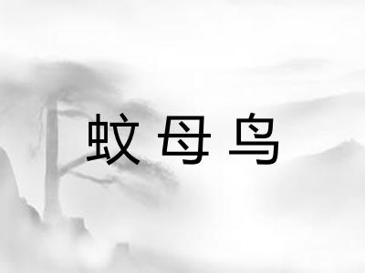 蚊母鸟