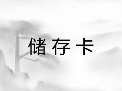 储存卡
