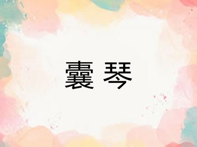 囊琴