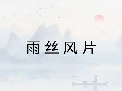 雨丝风片