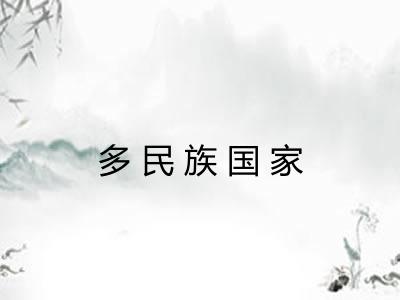 多民族国家 多民族国家
