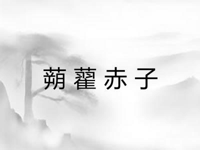 蒴藋赤子