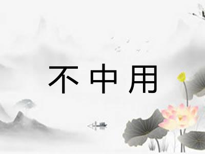 不中用