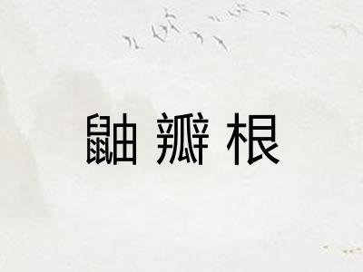 鼬瓣根
