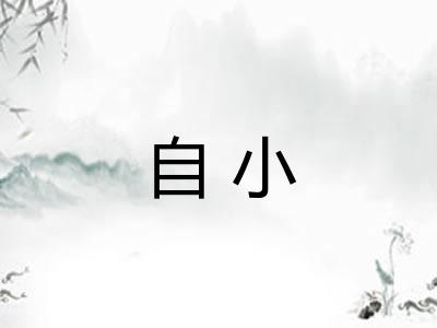 自小