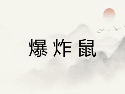 爆炸鼠