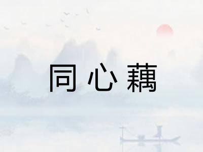 同心藕
