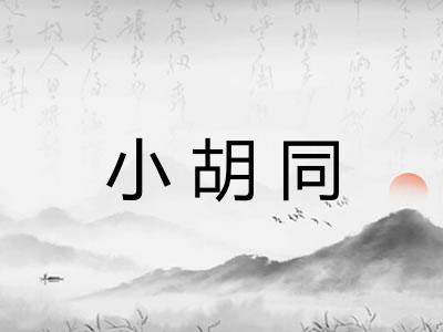 小胡同