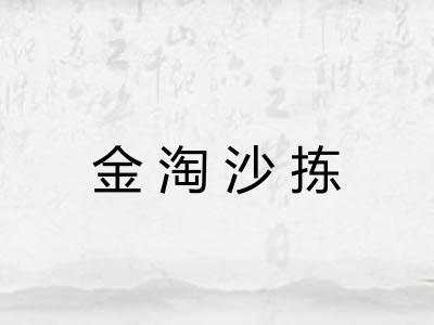 金淘沙拣