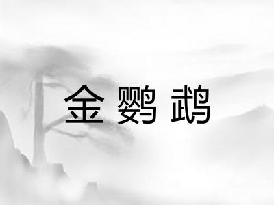 金鹦鹉