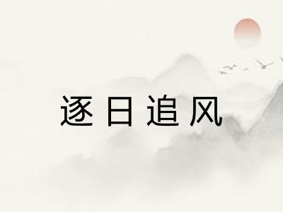 逐日追风
