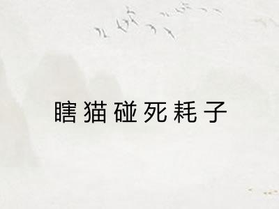 瞎猫碰死耗子