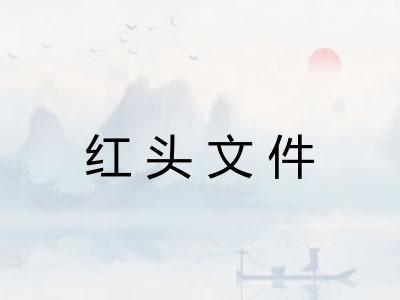 红头文件