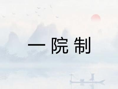 一院制