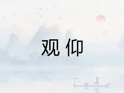 观仰