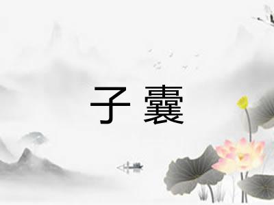 子囊