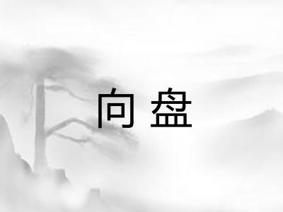 向盘