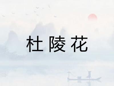 杜陵花