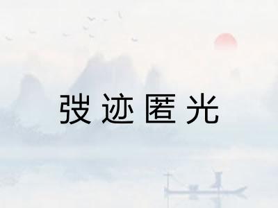 弢迹匿光