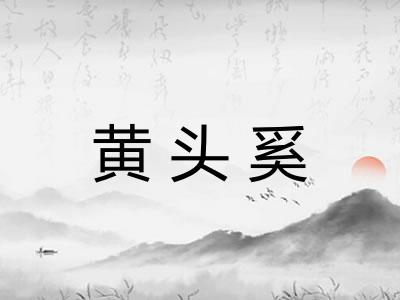 黄头奚